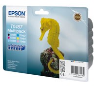 Картридж струйный Epson C13T04874010 черный/голубой/пурпурный/желтый/светло-пурпурный/светло-голубой набор карт. для Epson R200/R300/RX500/RX600